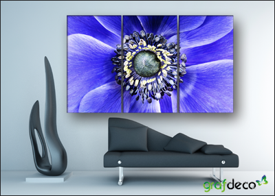 Wizualizacja fototapety kwiaty - niebieskie maki w gabinecie